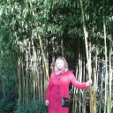 ���� �������, ���, 48 ��� - ��������� 13 ������ 2018 � ������ ���� ����������