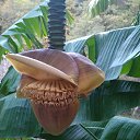 ������ �����. �� ������� ������