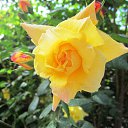 ���� ������, ����, 70 ��� - ��������� 30 ������ 2017 � ������ ��������