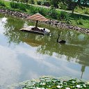 ���� �����, ���������, 56 ��� - ��������� 15 ������ 2018 � ������ ���� ����������