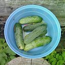 ���� �������, �����-���������, 73 ���� - ��������� 5 ������ 2018 � ������ ���� ����������