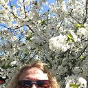 ���� �����, ����, 66 ��� - ��������� 26 ������ 2018