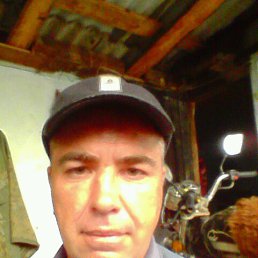 ������, ���������, 46 ���