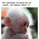 Vitalija, , 50  -  30  2018    