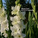 ���� �����, ������ - ��������� 13 ���� 2018 � ������ ���� ���������