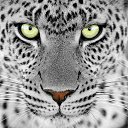 ���� ������, ������ - ��������� 8 ���� 2018 � ������ ������ ��������