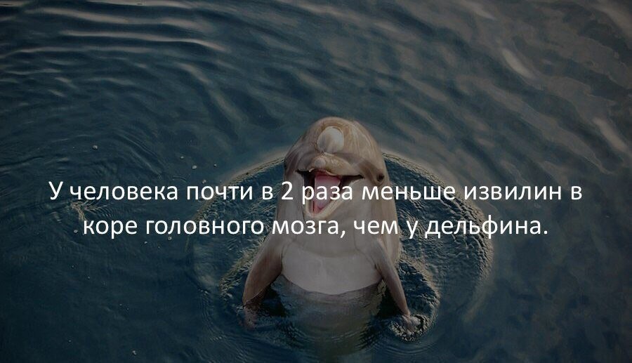   :    - 8  2018  03:51