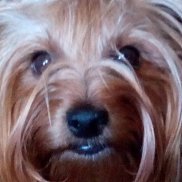 Vyacheslav, 61 , 