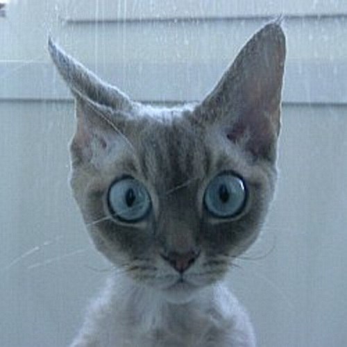  Ը - 21  2017  03:46