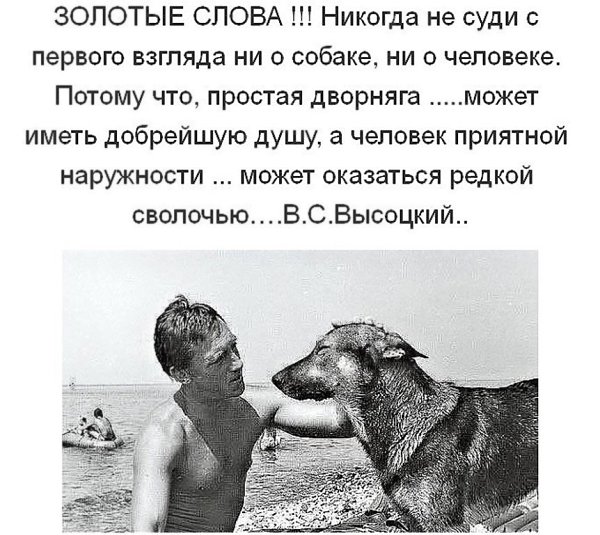   ...     ! #12 - 4