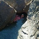 ���� �������, �����������, 53 ���� - ��������� 21 ���� 2018 � ������ ������ ��������