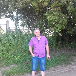 �����, ������, 41 ���