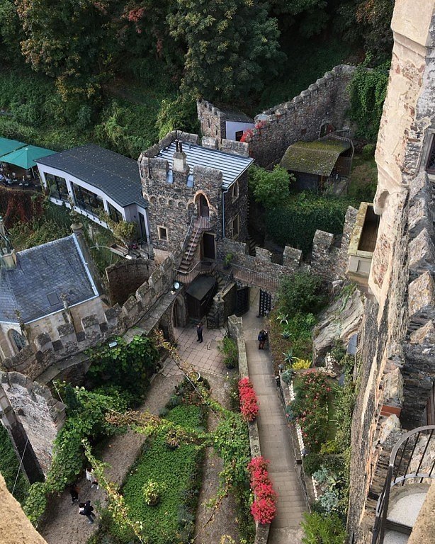 ����� ���������, ������� ��������������� � ��������. - 5