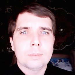 ���� ����, ��������, 41 ��� - ��������� 29 ������� 2017