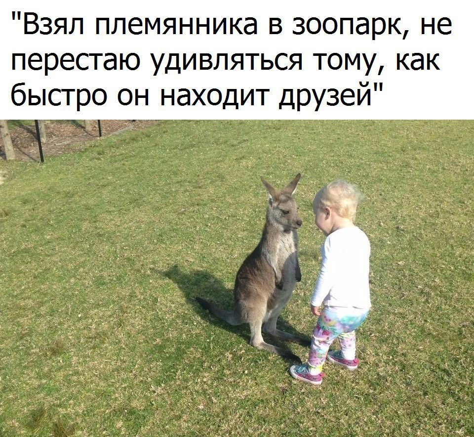  - 10  2018  03:41