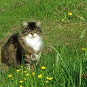 ���� ��������, Kouvola, 78 ��� - ��������� 23 ��� 2018 � ������ ����������������� ����