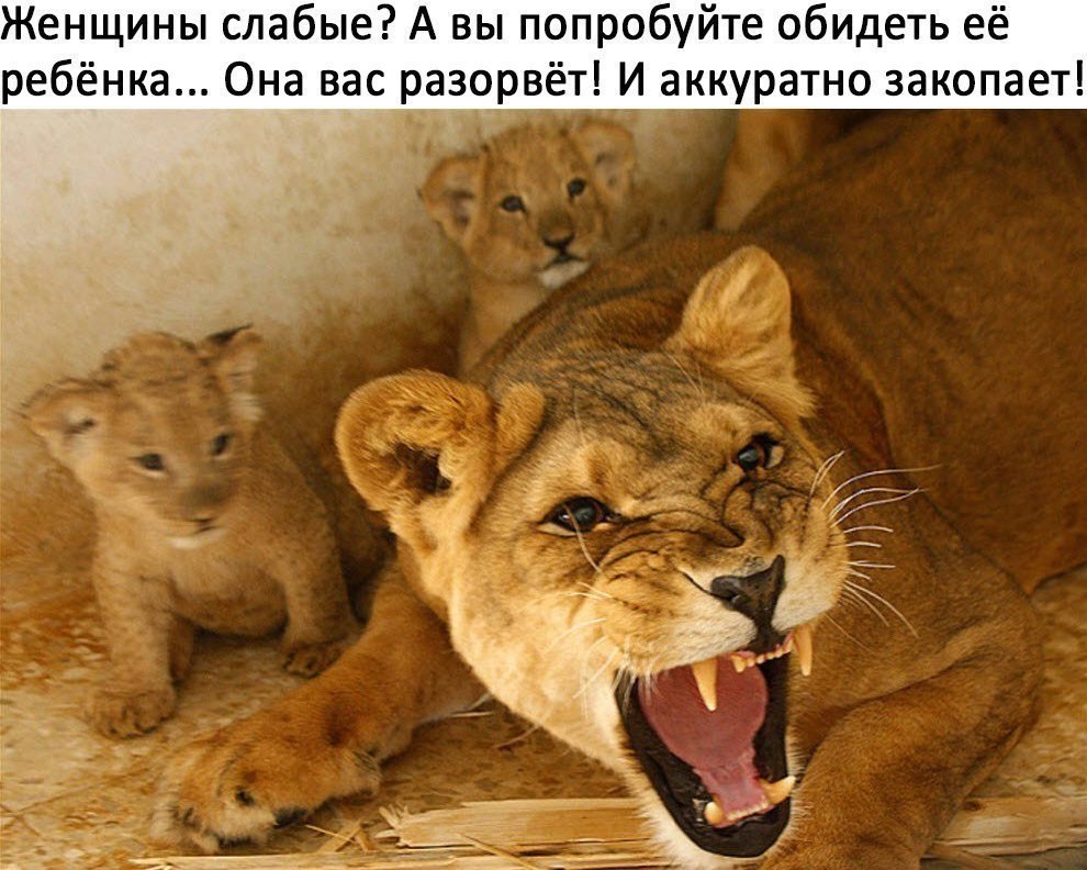   -   - 20  2017  03:48