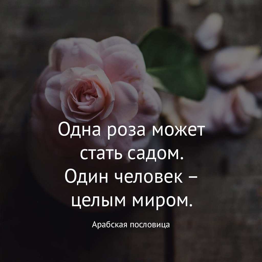 .. - 6  2018  02:47