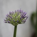  , , 68  -  23  2018    2018