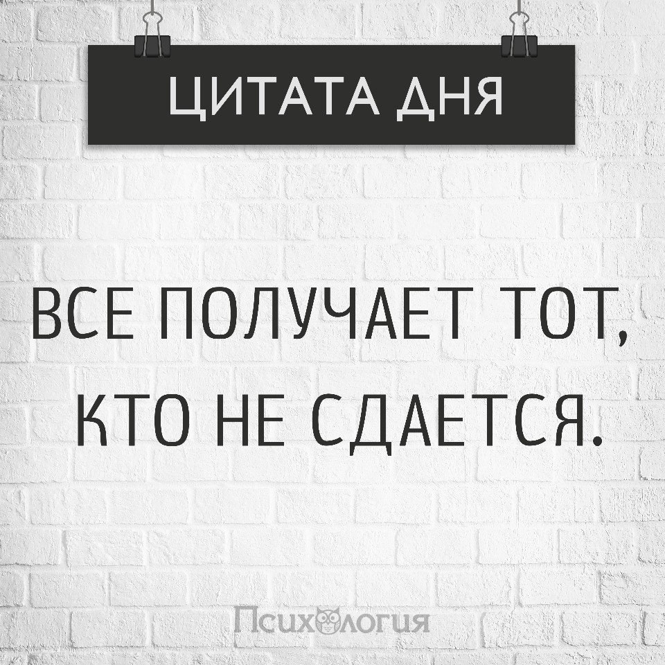  - 23  2017  07:33
