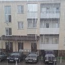 ���� �����, �����������, 41 ��� - ��������� 1 ���� 2018 � ������ ���� ����������