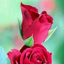 ���� �������, �������, 50 ��� - ��������� 2 ����� 2018 � ������ ���� ����������