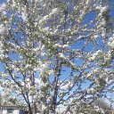 ���� Valentina, ��������������, 60 ��� - ��������� 22 ������ 2018 � ������ ������ ��������