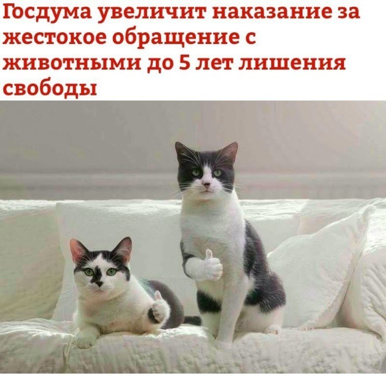 ☆ ☆ - 20  2018  04:10