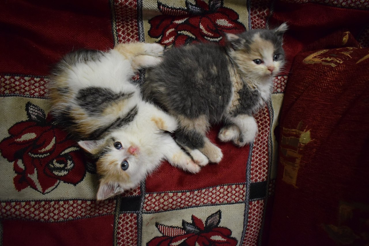 #_.    .       . ...