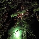 ���� �����, ����������� - ��������� 16 ������ 2018 � ������ ����������� ����� �� ����������� ����� 2017-18�