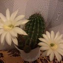 ���� ������, �����, 56 ��� - ��������� 27 ��� 2018 � ������ ���� ����������