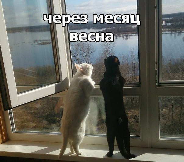   - 2  2018  03:59