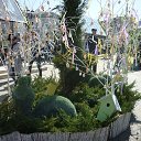  -   !,  -  14  2018    .   2018