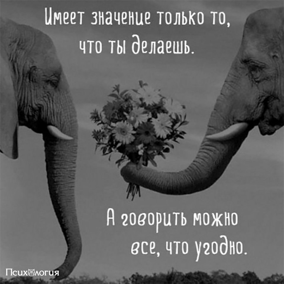  - 8  2018  03:47