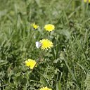  , , 68  -  23  2018    2018