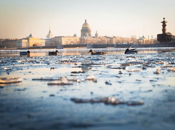 :    - 31  2018  03:45