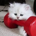 ���� �����, ����������� - ��������� 5 ���� 2018 � ������ ���� ����������