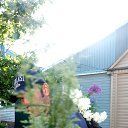 ���� �����, ������, 44 ���� - ��������� 13 ���� 2018 � ������ ���� ����������