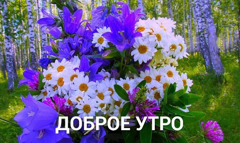  ,  !