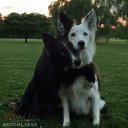 ���� ������, ������, 40 ��� - ��������� 25 ��� 2018 � ������ ���� ����������