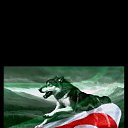 ���� Givi, ���������, 55 ��� - ��������� 22 ������ 2018