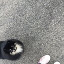 ���� �, �����-��������� - ��������� 1 ���� 2018 � ������ ���� ����������