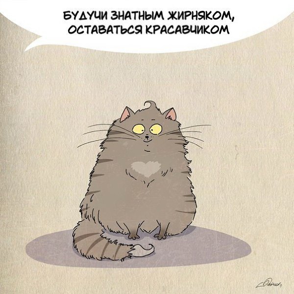 1 марта отмечается День кошек. Нам есть чему поучиться у шерстяных засранцев :3