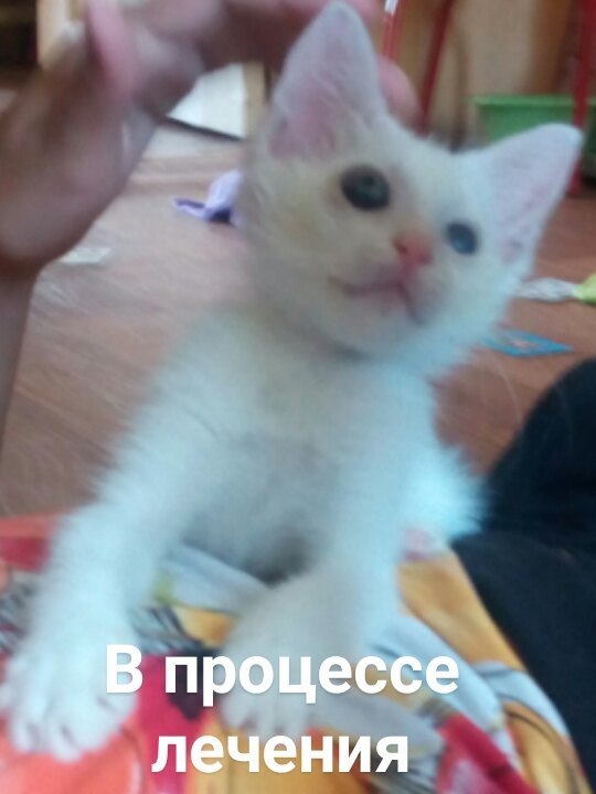 #_.2            ,  3 ...