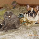 ���� ������, ��������, 48 ��� - ��������� 10 ������� 2017 � ������ �����!!!�