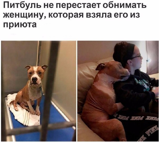 LIFE -  - 29  2017  03:39