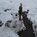 ���� ����������, ����������, 51 ��� - ��������� 17 ������� 2018 � ������ ���� ����������