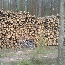  , , 46  -  10  2018   Relax