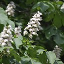  , , 68  -  23  2018    2018