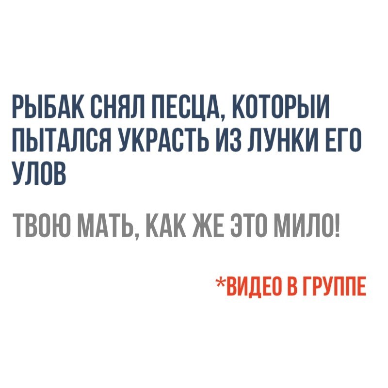    - 19  2018  03:46